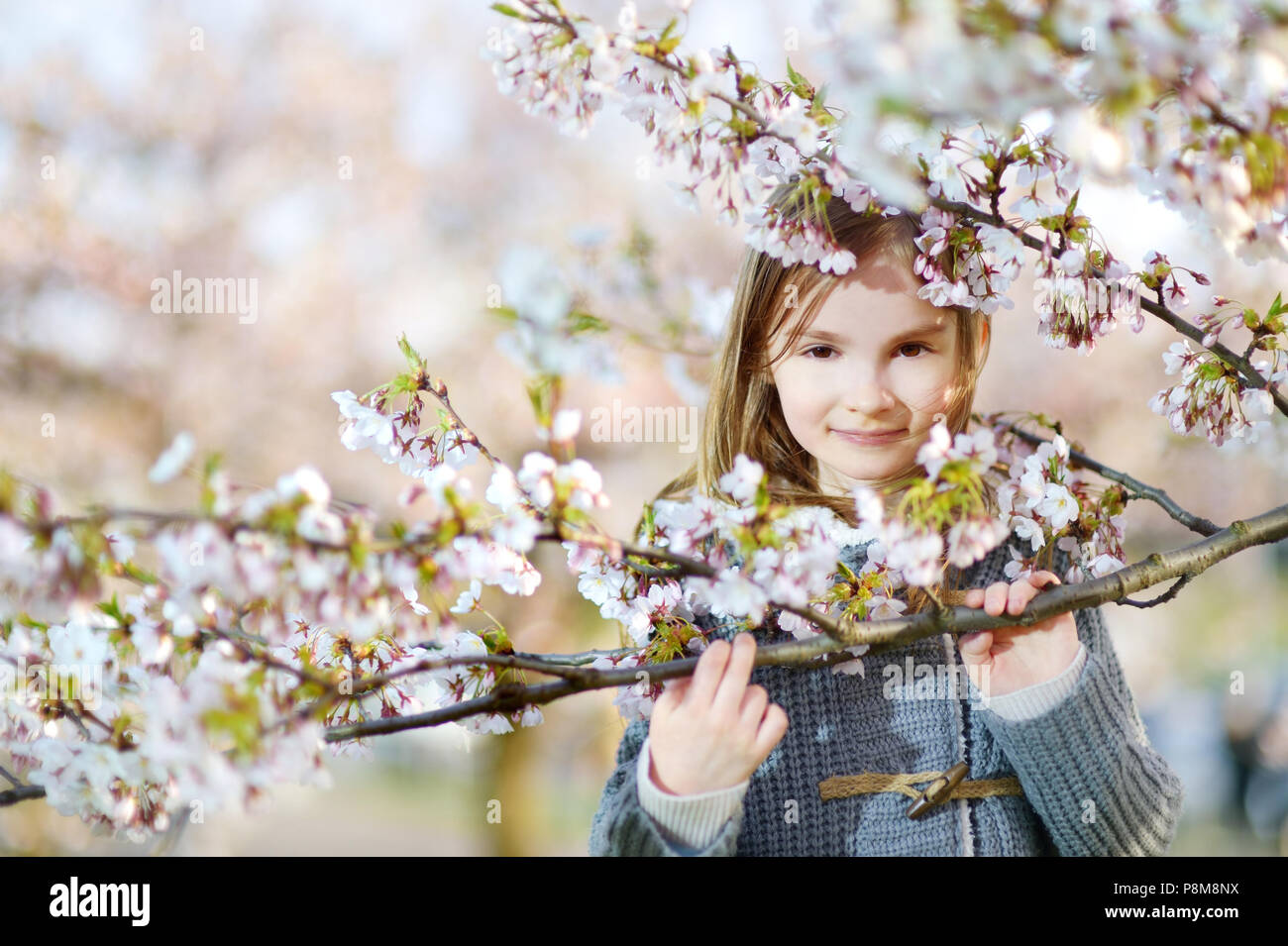 Adorable little girl in blooming cherry garden on beautiful spring day ...