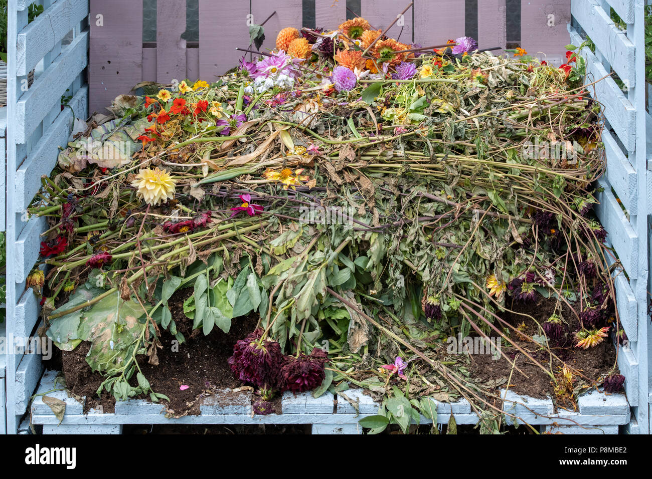 Waste Flowers High Resolution Stock Photography and Images Alamy
