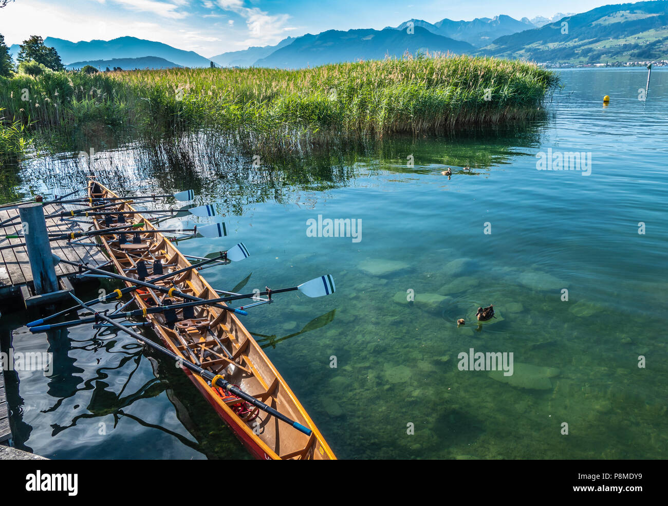 Swiss rowing team hi-res stock photography and images - Alamy