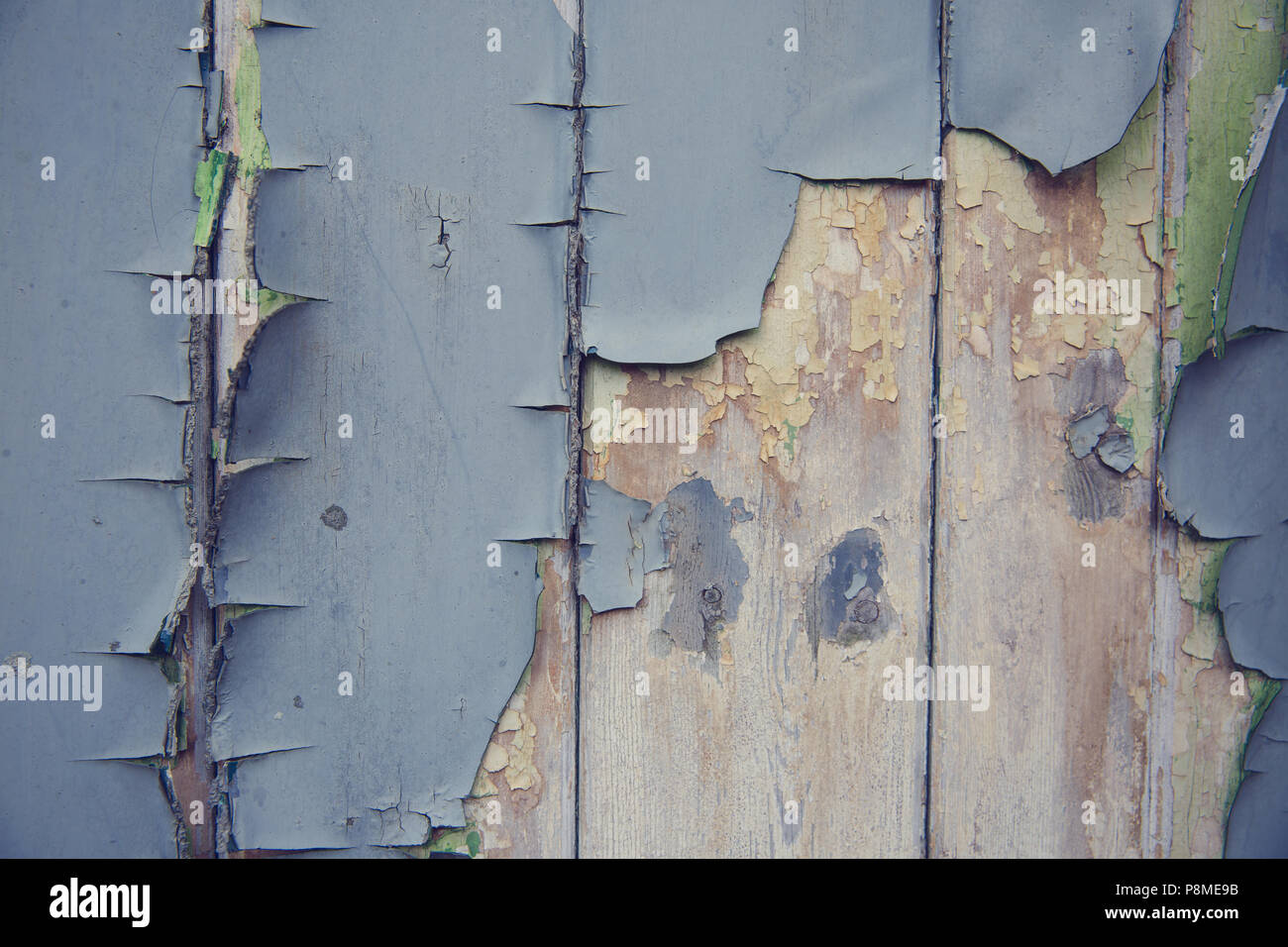 blue peeling and cracked paint on rotten wood in a textured background Stock Photo
