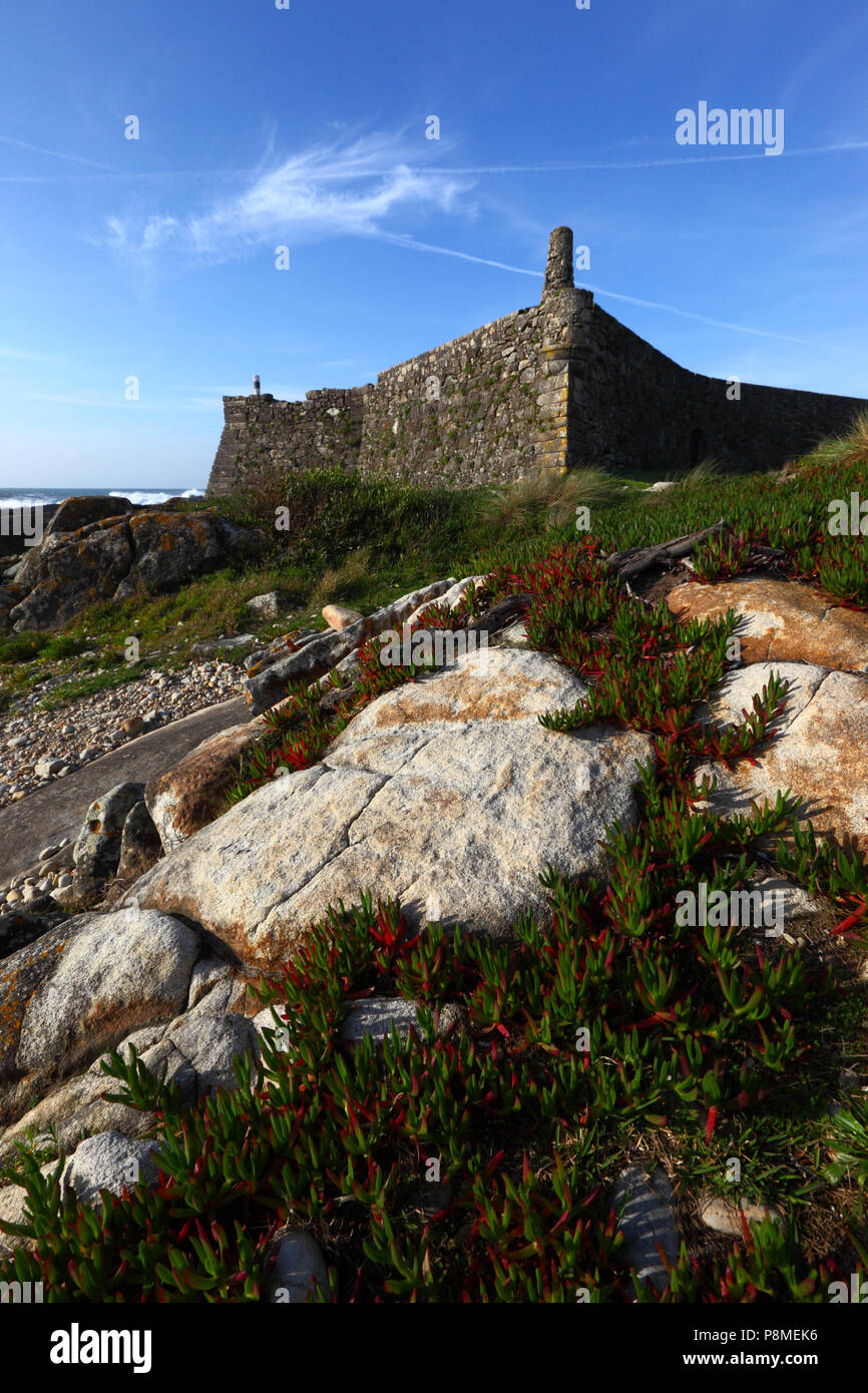 Forte Do Cao Castle And Leaves Of Carpobrotus Or Hottentot - 