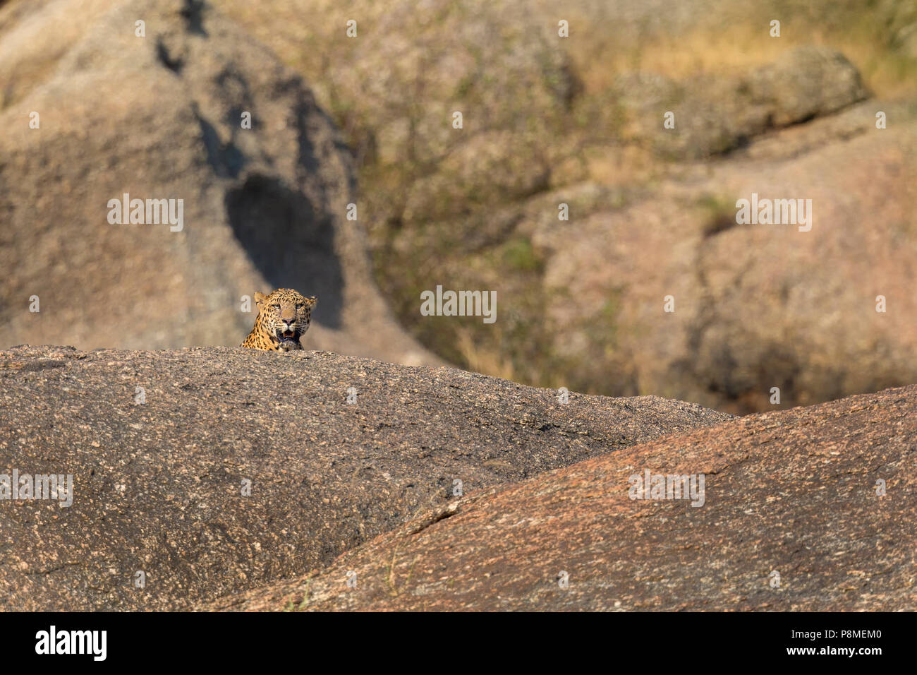 Indian rocks hi-res stock photography and images - Alamy