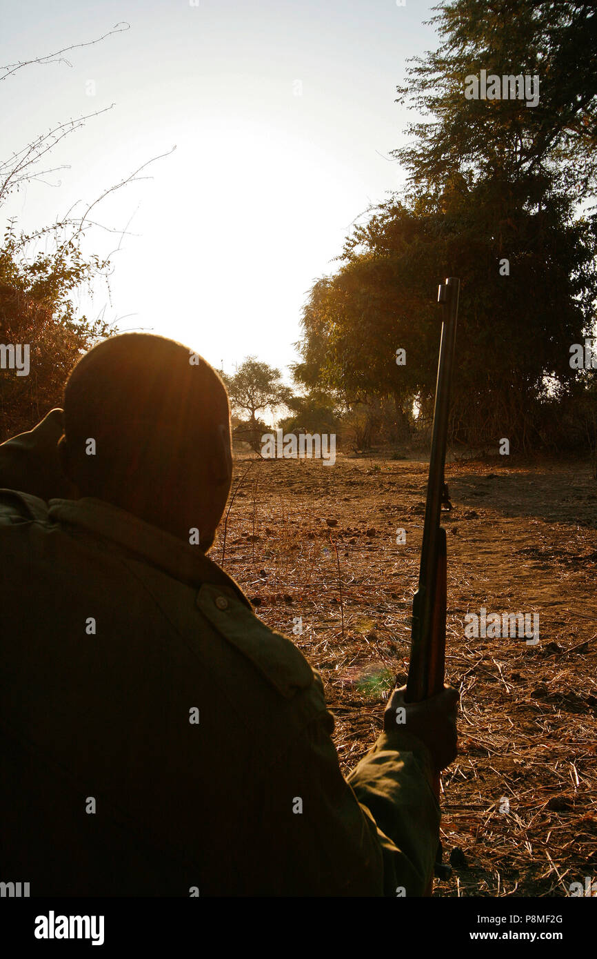 Walking safari africa rifle hi-res stock photography and images - Alamy
