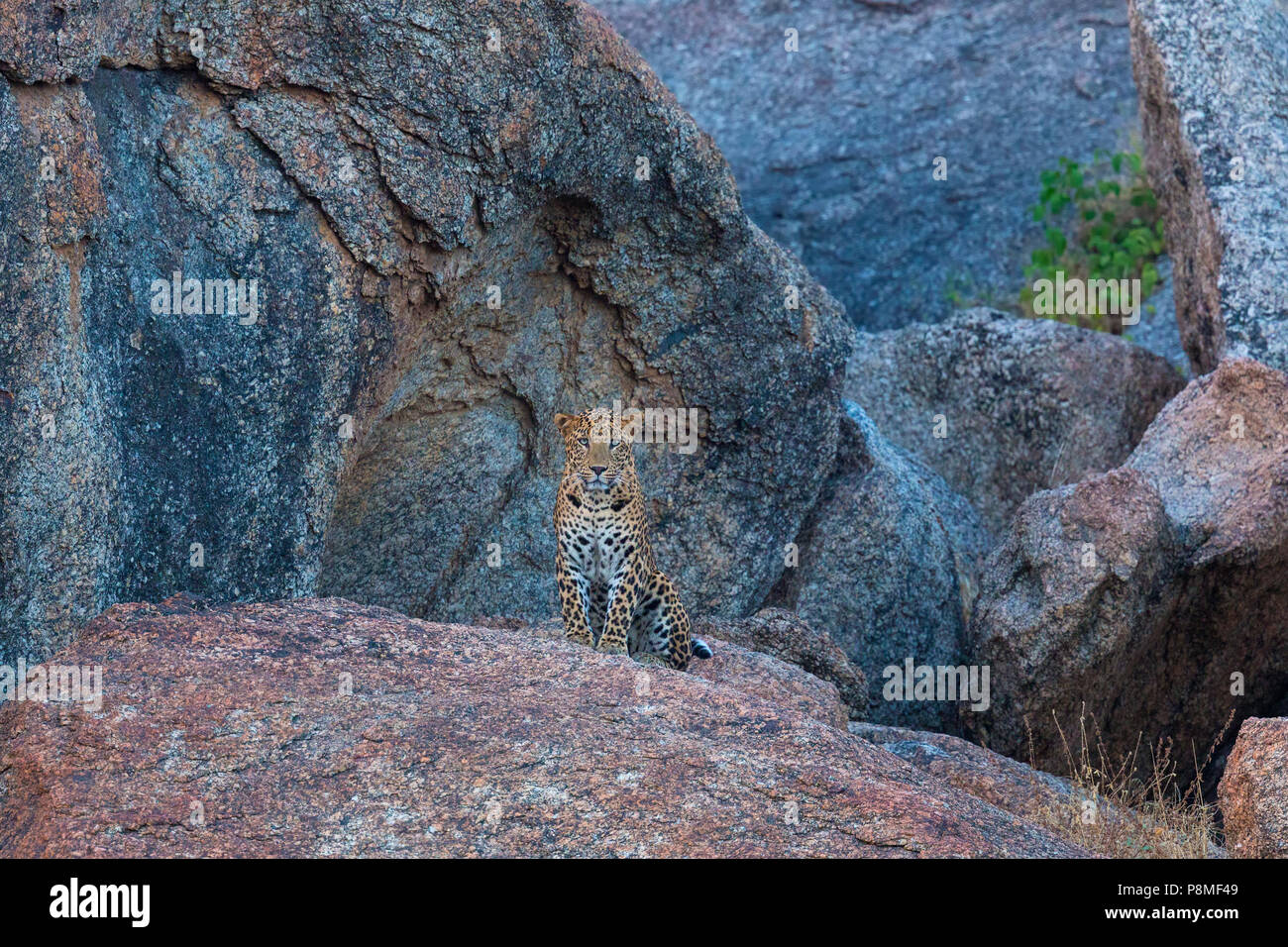 Indian rocks hi-res stock photography and images - Alamy