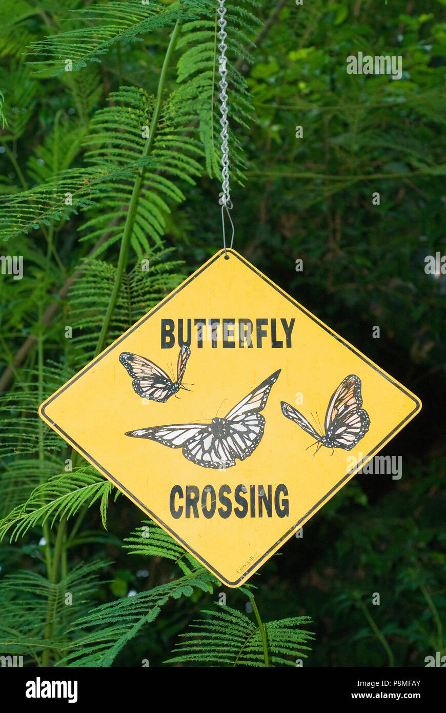 Magic Wings Butterfly Conservatory and Gardens, South Deerfield