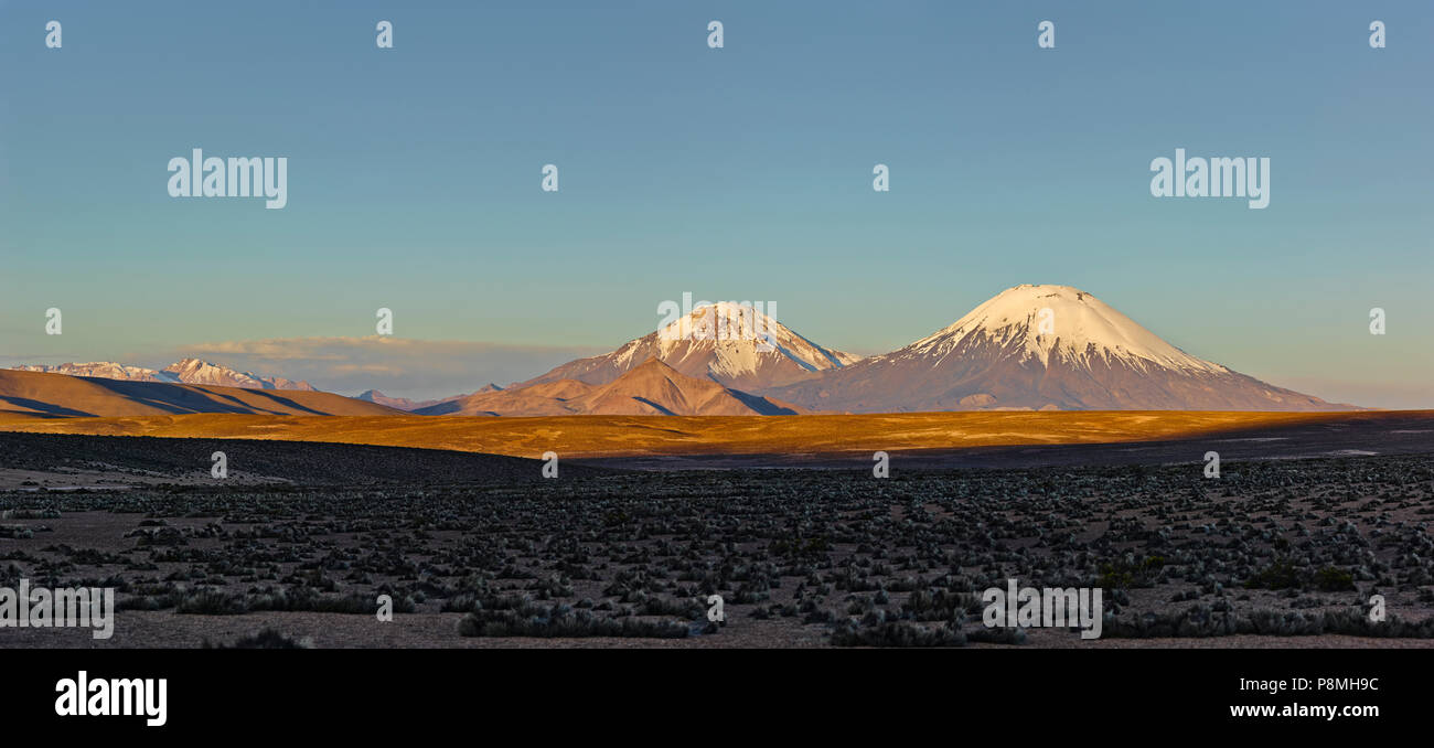 Sunset on the Altiplano with the volcanoes Parinacota and Pomerape in Chile Stock Photo