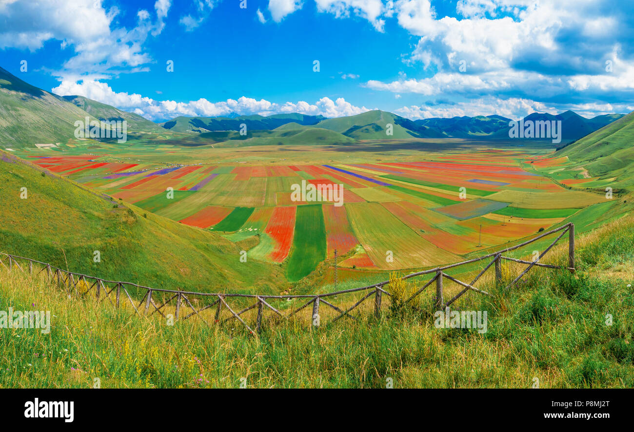 Castelluccio Di Norcia 2018 Umbria Italy The Famous Landscape castelluccio-di-norcia-2018-umbria-italy-the-famous-landscape