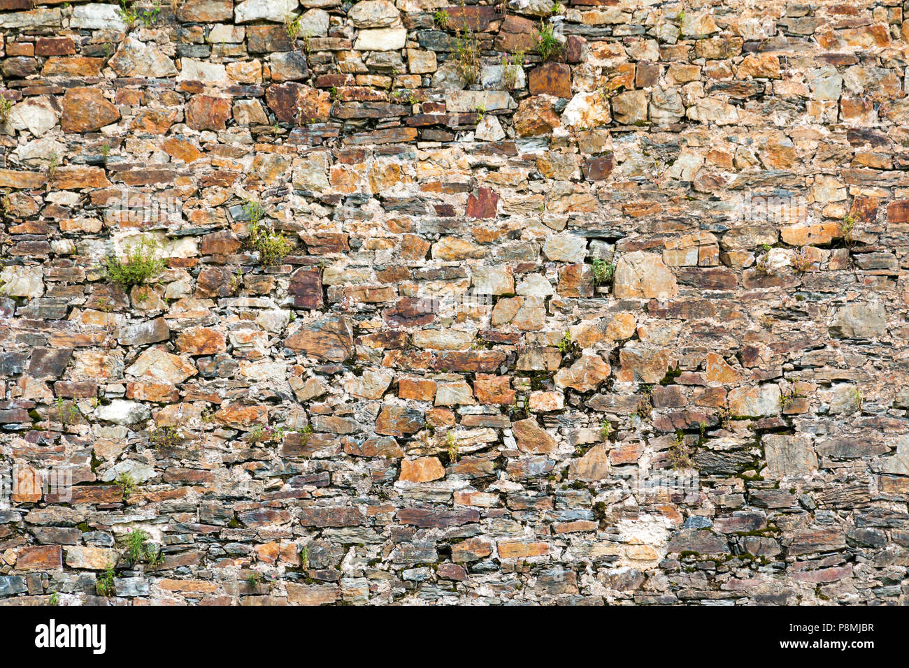 Stone uneven ancient wall with weed growing in the cracks Stock Photo