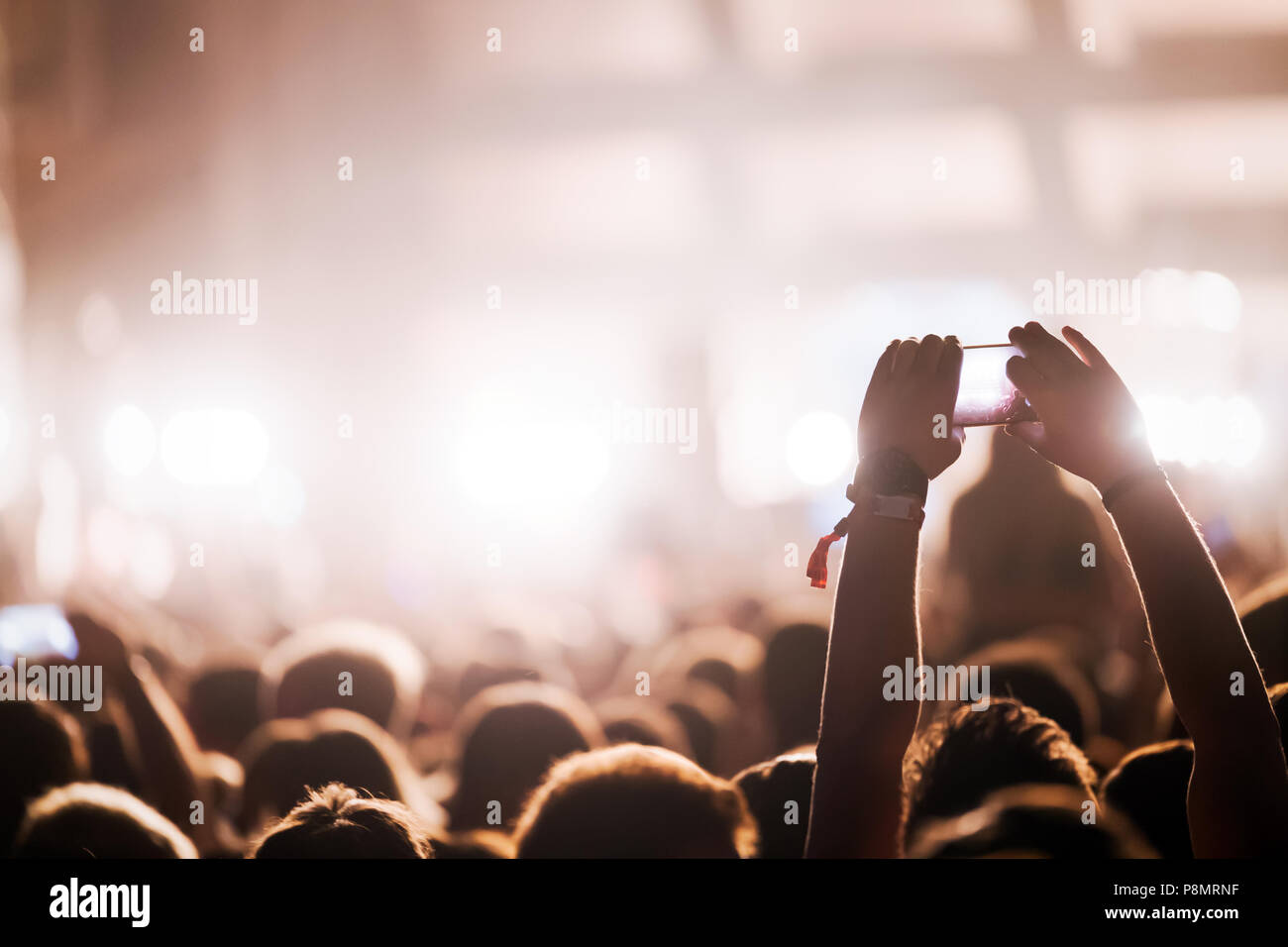 Picture of party people at music festival Stock Photo