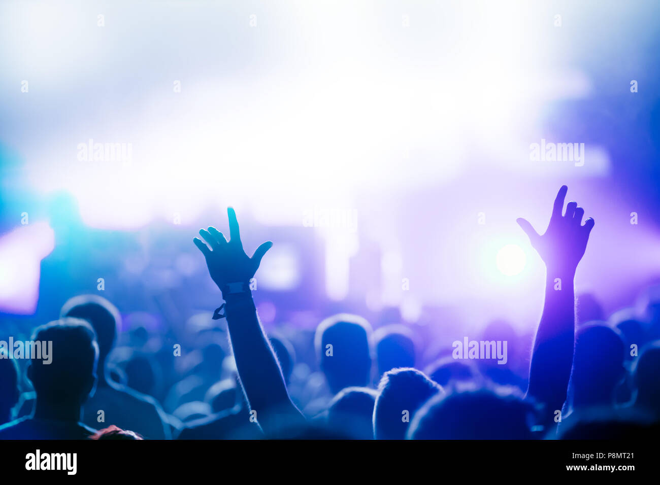 Cheering crowd with hands in air at music festival Stock Photo Alamy