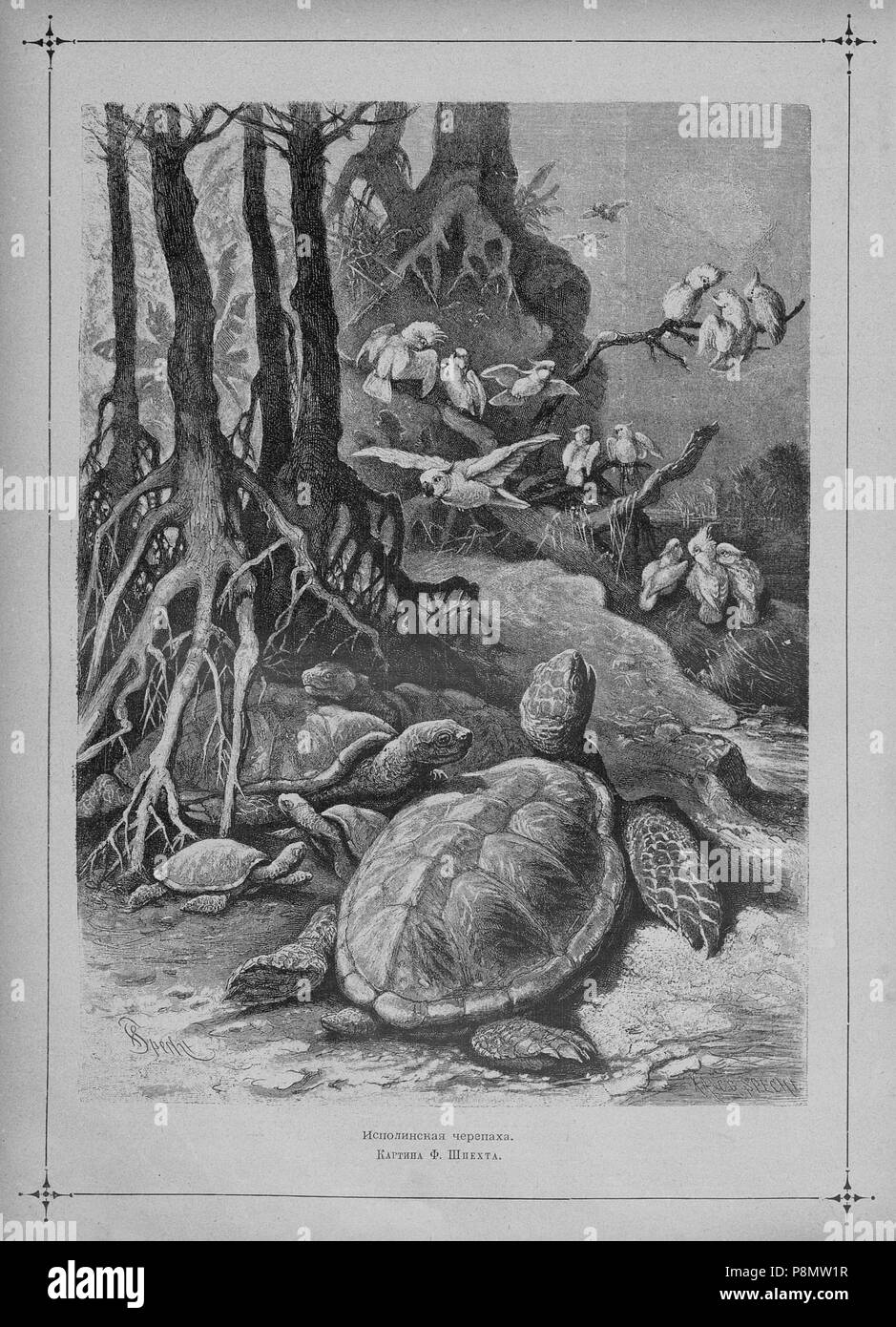 Page 189 Black and White Stock Photos Images Alamy