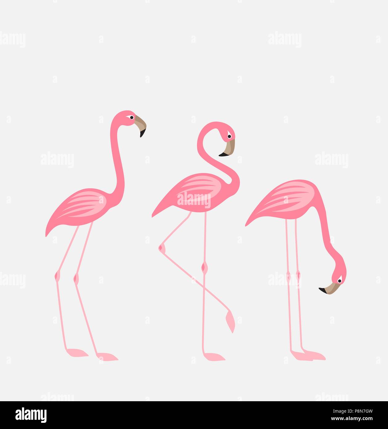 Pink flamingo illustration hi-res stock photography and images - Alamy
