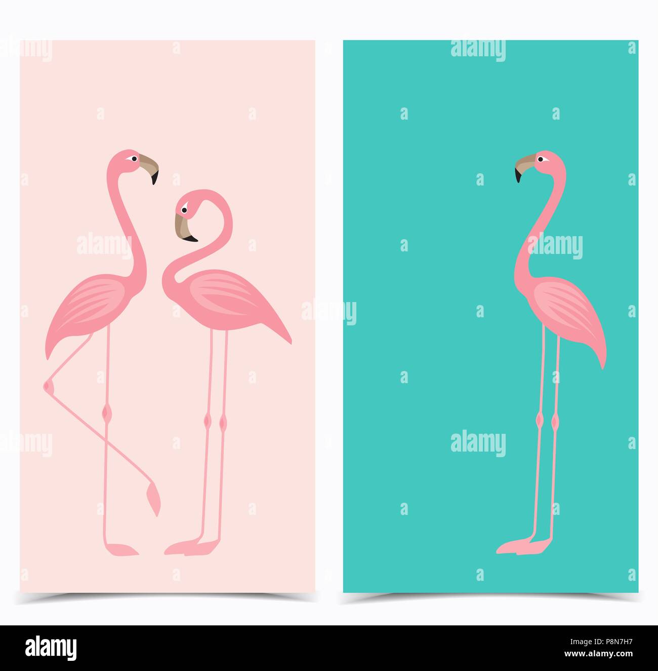Vector illustration of a pink flamingo. Tropical bird flamingos Stock ...