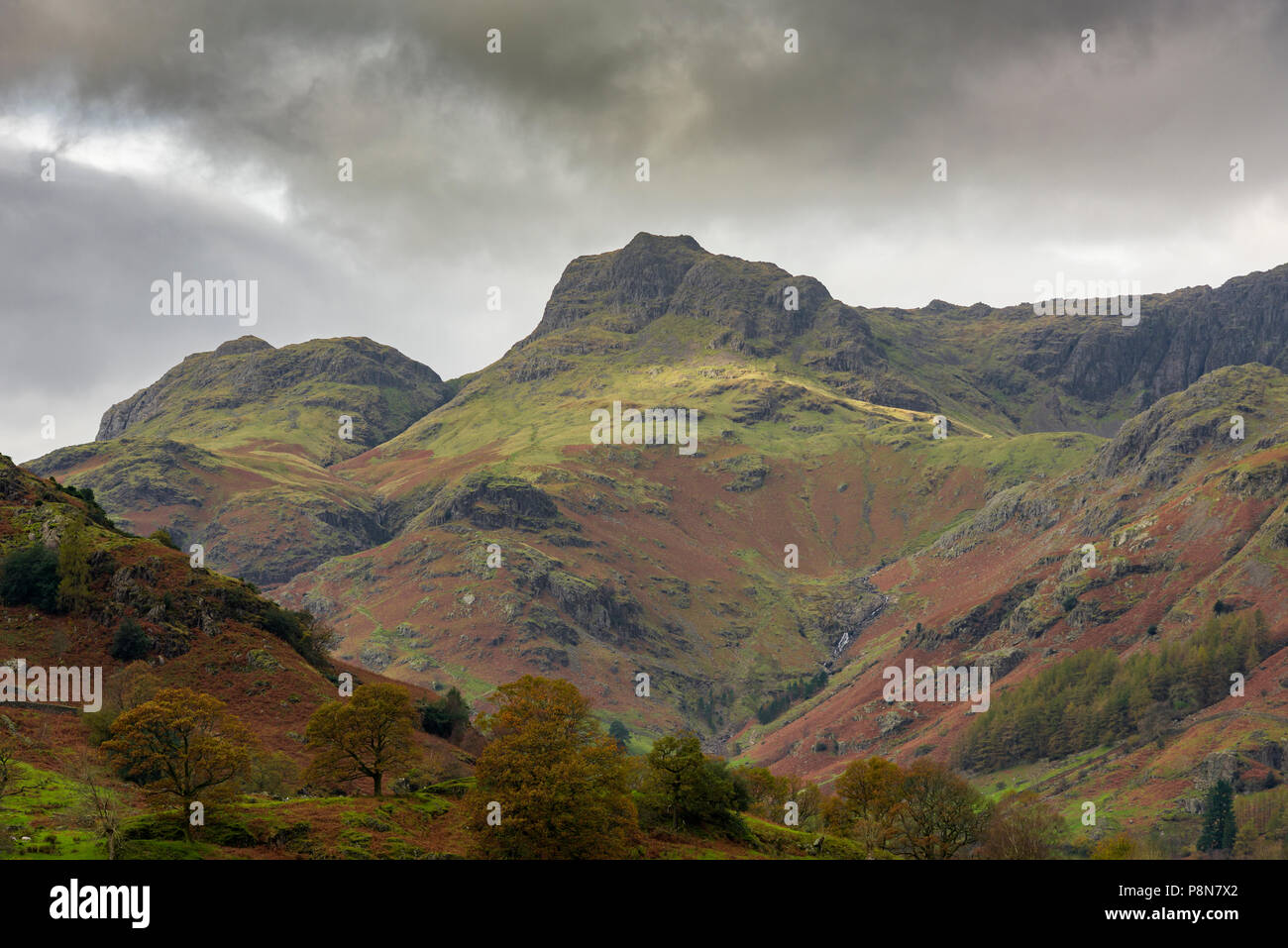 The Langdale Pikes in the Lake District National Park in Cumbria, England. Stock Photo