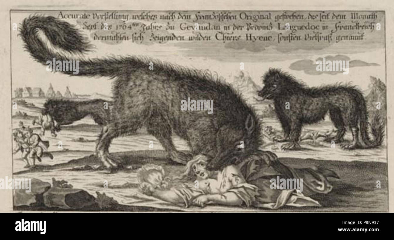 werewolf medieval illustration Stock Photo