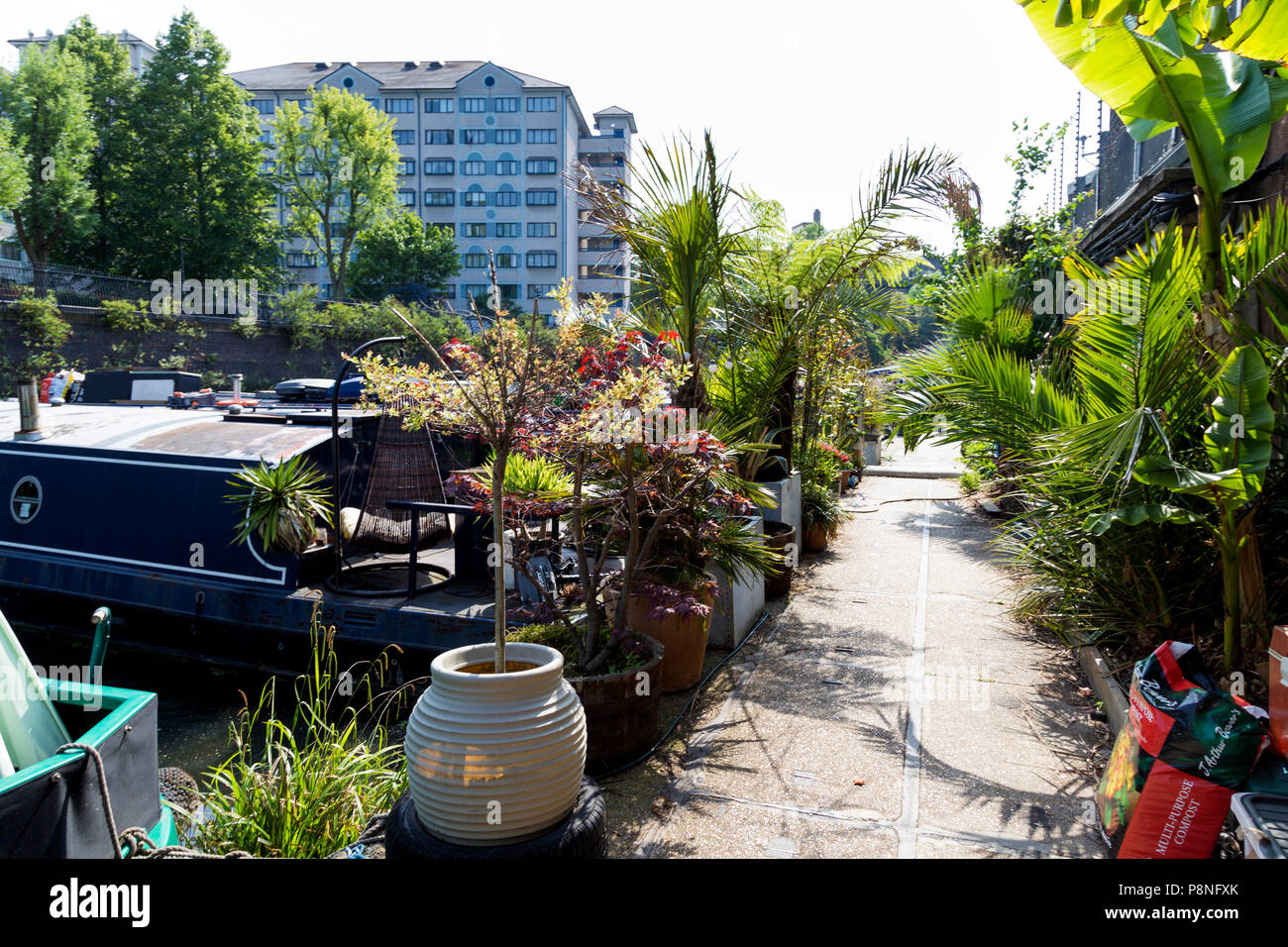 Moored houseboats and path on the Regents Canal by a narrowboat community, plants and flowers, London, UK Stock Photo