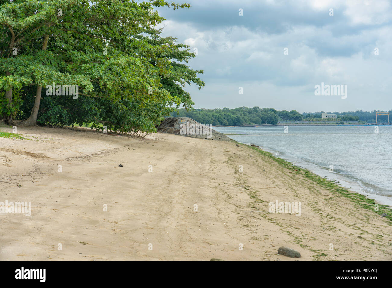 Work To Repair Damage Begins As Rain That Triggered Floods Landslips Eases Singapore News Top Stories The Straits Times [ 573 x 860 Pixel ]