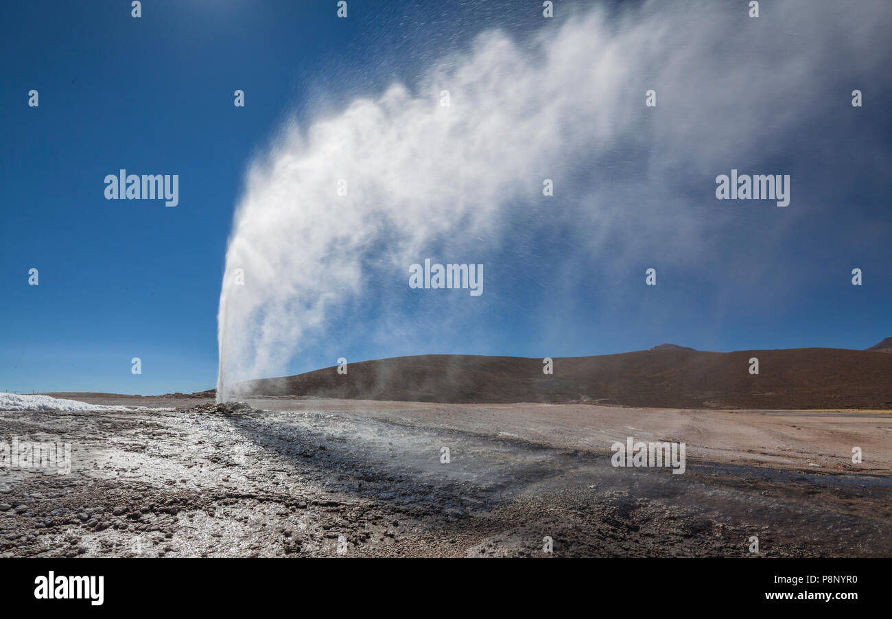 The continuously spouting geyser Puchuldiza on the Altiplano Stock Photo