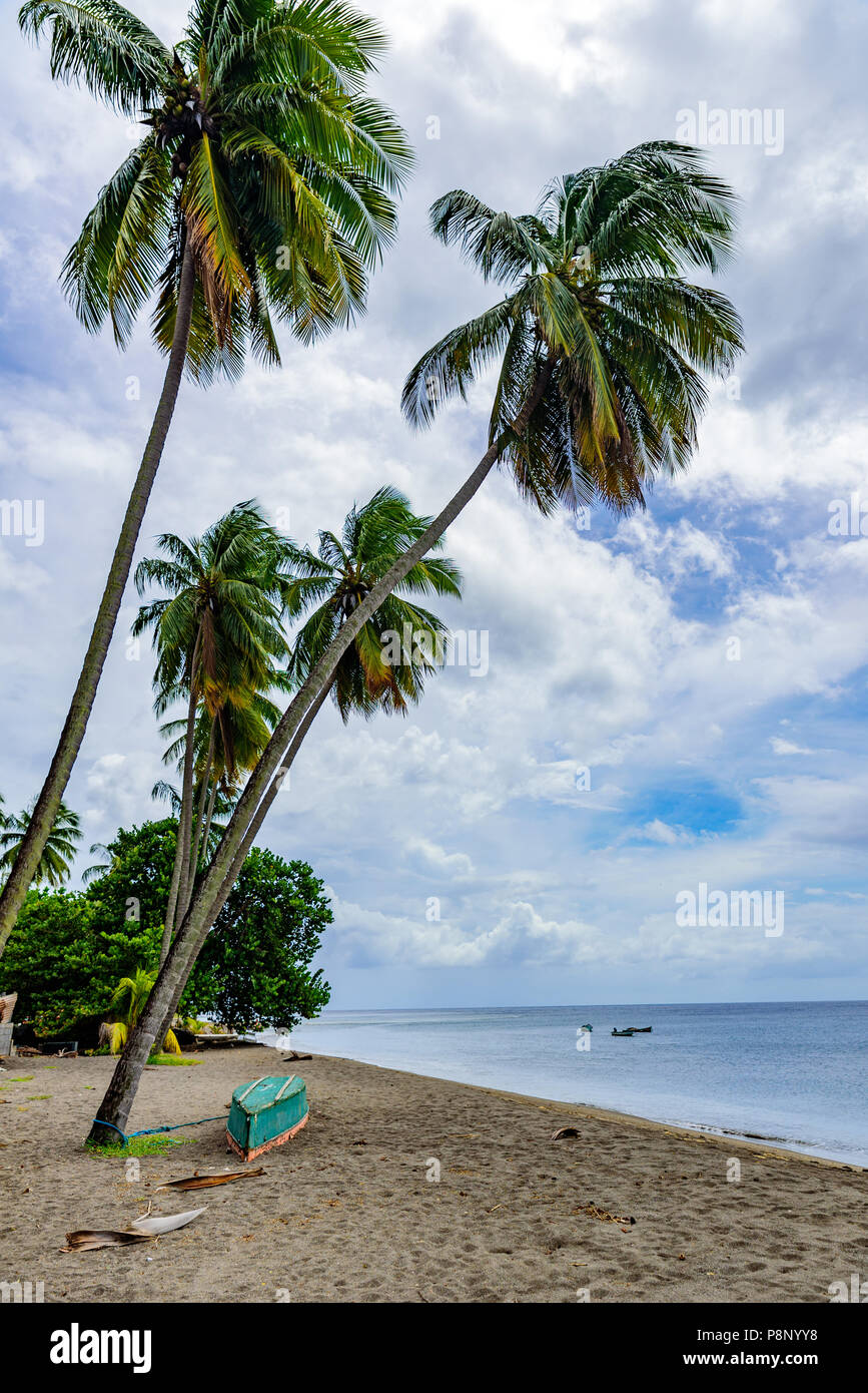 Paradise beach Le Carbet, tropical island Martinique, Caribbean Sea Stock Photo