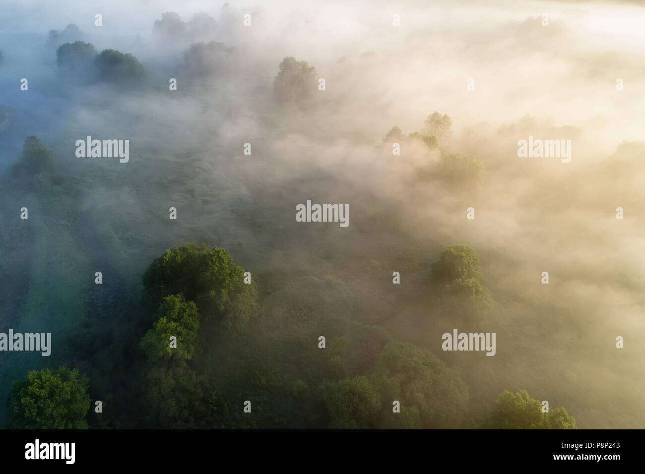 Fog over meadow early in the morning. Foggy summer landscape view from above. Stock Photo