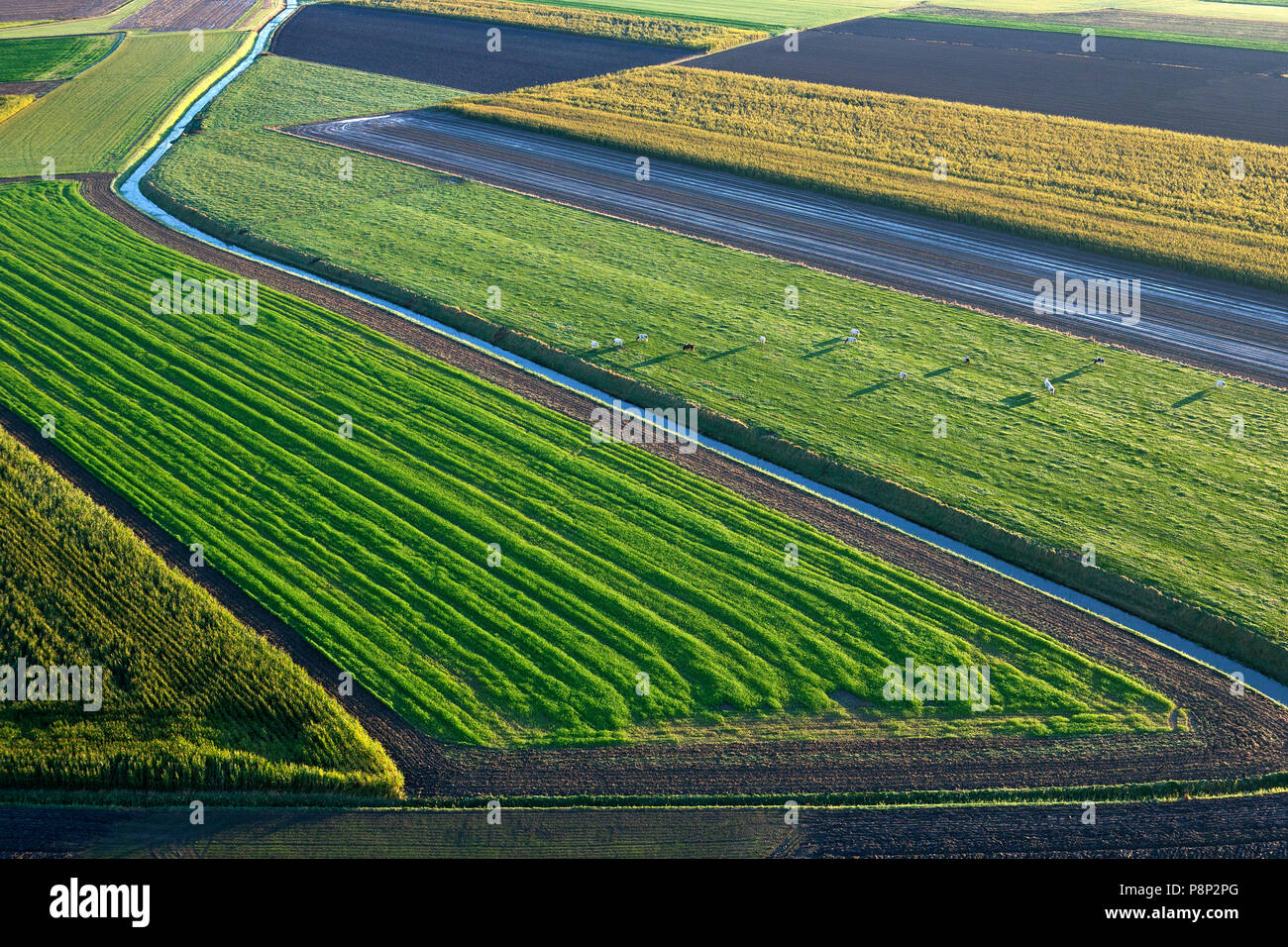 Aerial of the valley of Yzer Stock Photo