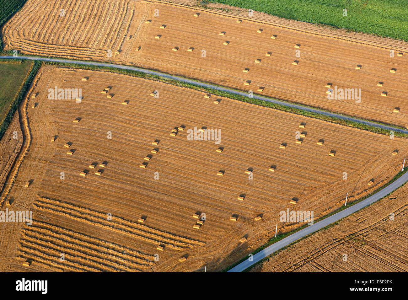 Aerial of a wheat field Stock Photo