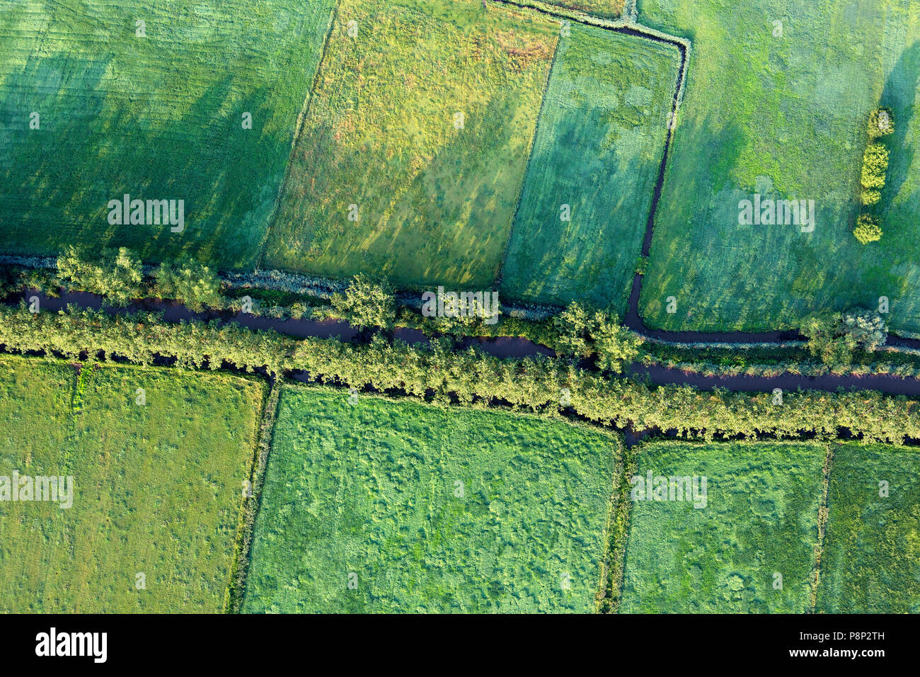 aerial of green fields and canals Stock Photo