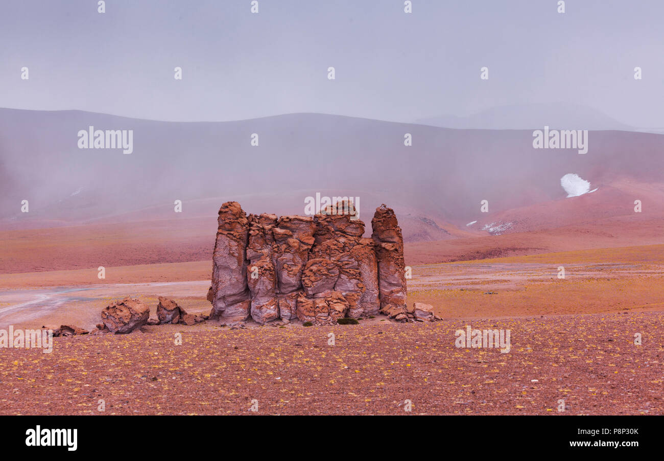 Ignimbrite Columns formed by wind erosion high in the Andes Stock Photo