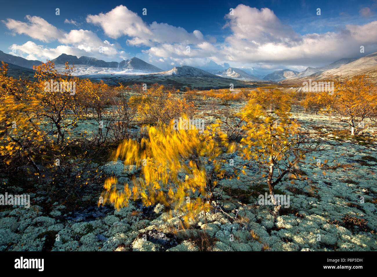 Rondane national park Stock Photo