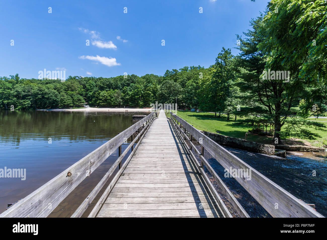 Landscape of the Swimming and Fishing Area in Colonel Denning State