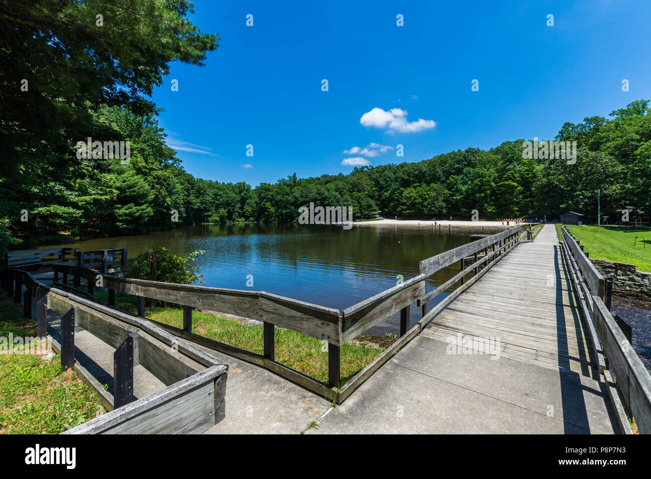 Landscape of the Swimming and Fishing Area in Colonel Denning State