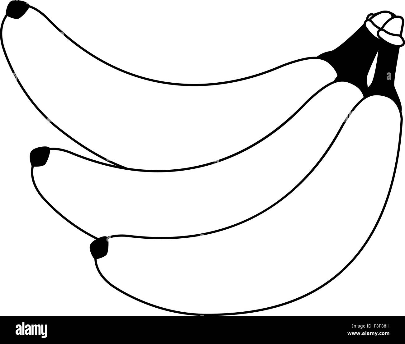 Banana fruit isolated black and white Stock Vector Image & Art Alamy