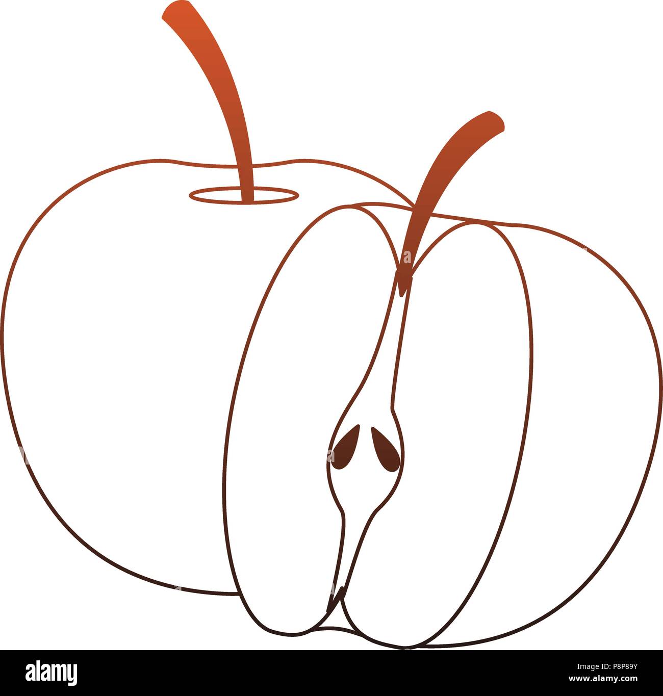 Apples fruit isolated red lines Stock Vector Image & Art Alamy