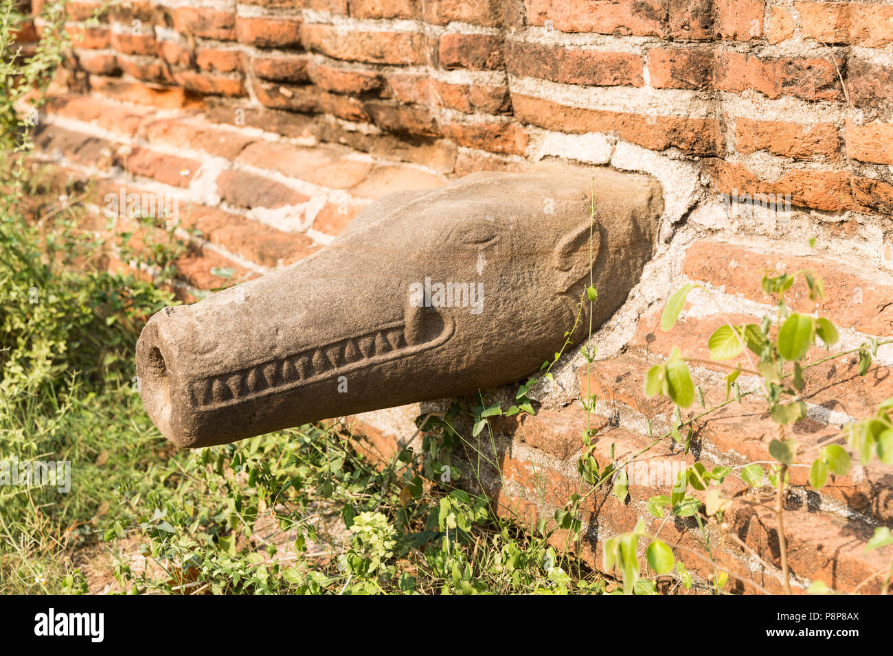 Crocodile snout drainage pipe, Mingun Pahtodawgyi, Myanmar (Burma) Stock Photo