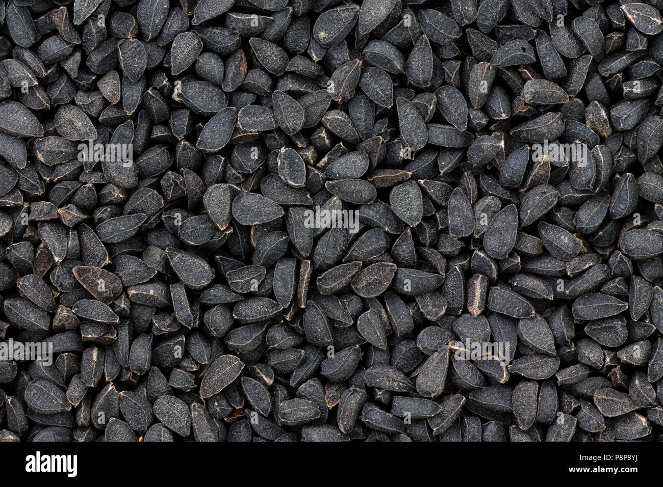 Close up texture of black seeds or nigella also known as kalonji, an ancient spice from India known for its pungent taste and medicinal qualities Stock Photo