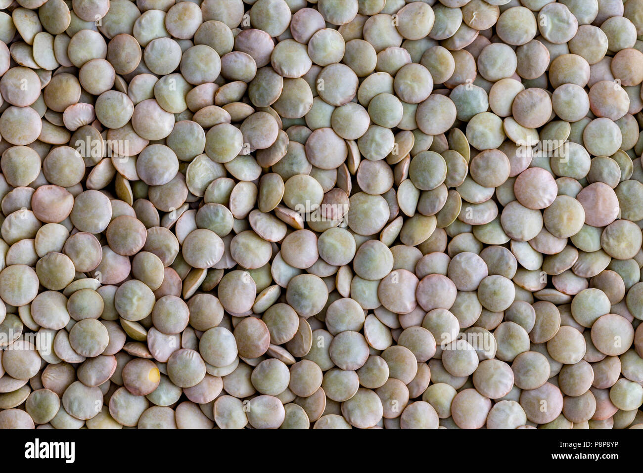 Background texture of dried white lentils, a healthy vegetable rich in