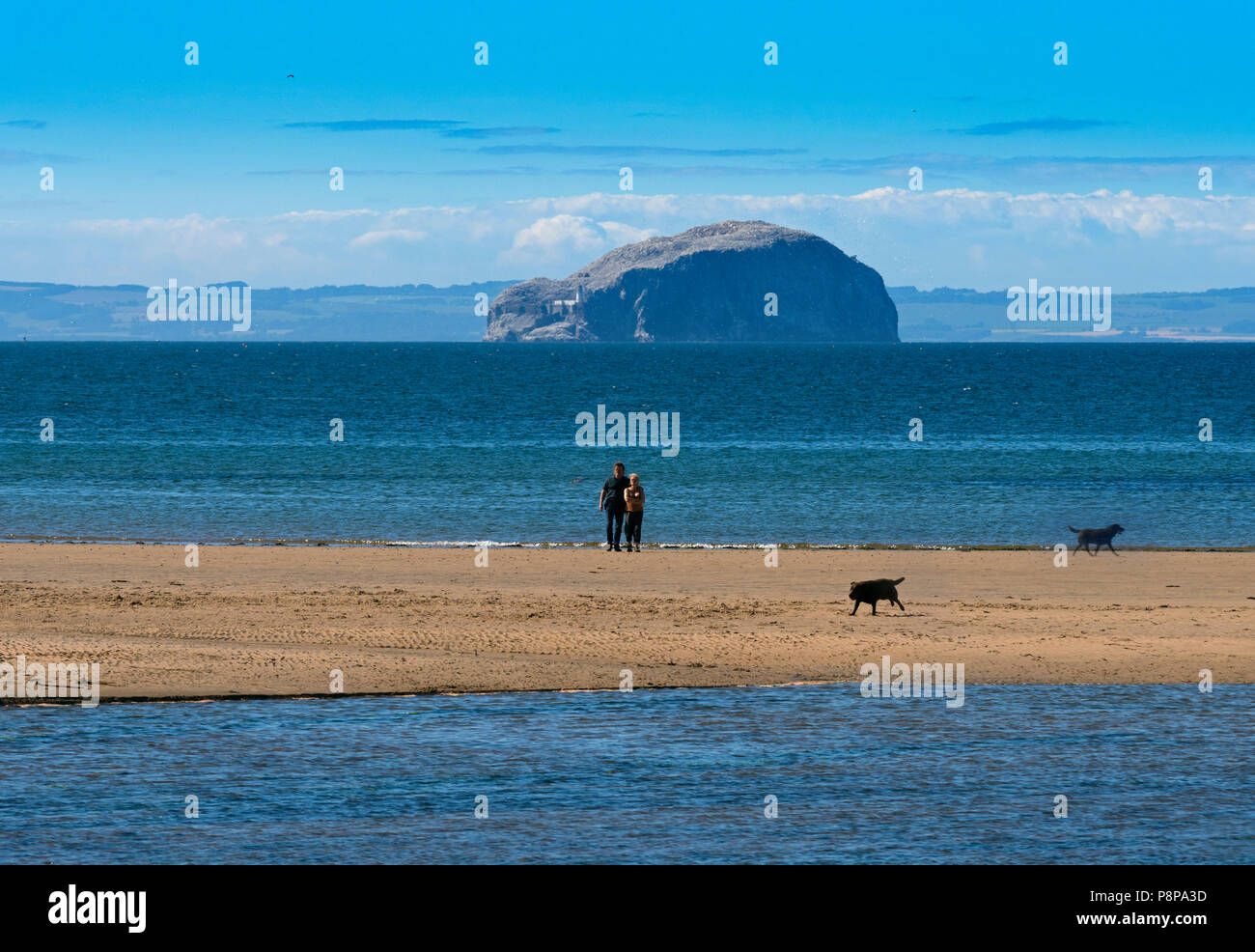 View of Bass Rock and lighthouse from Belhaven Bay East Lothian Scotland, UK, Stock Photo