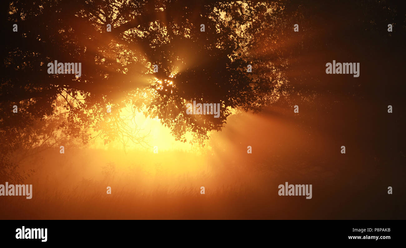 Morning mood hi-res stock photography and images - Alamy