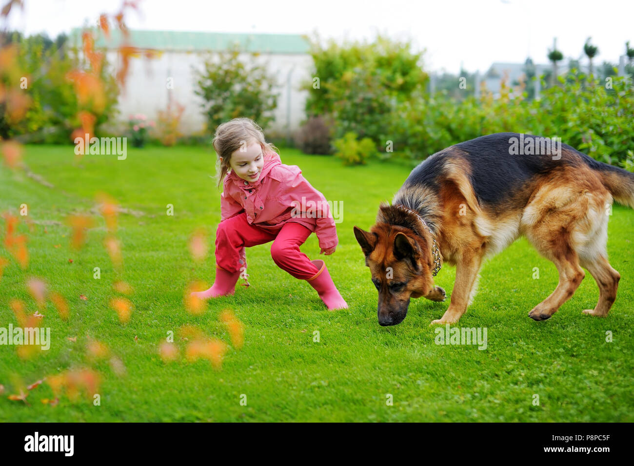 Happy little girl playing with a big dog in the garden Stock Photo - Alamy