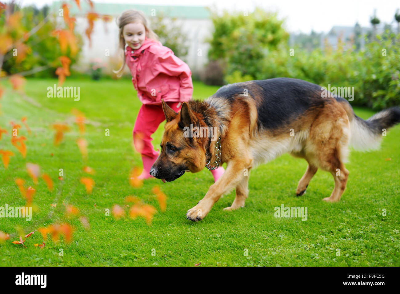 Happy little girl playing with a big dog in the garden Stock Photo - Alamy