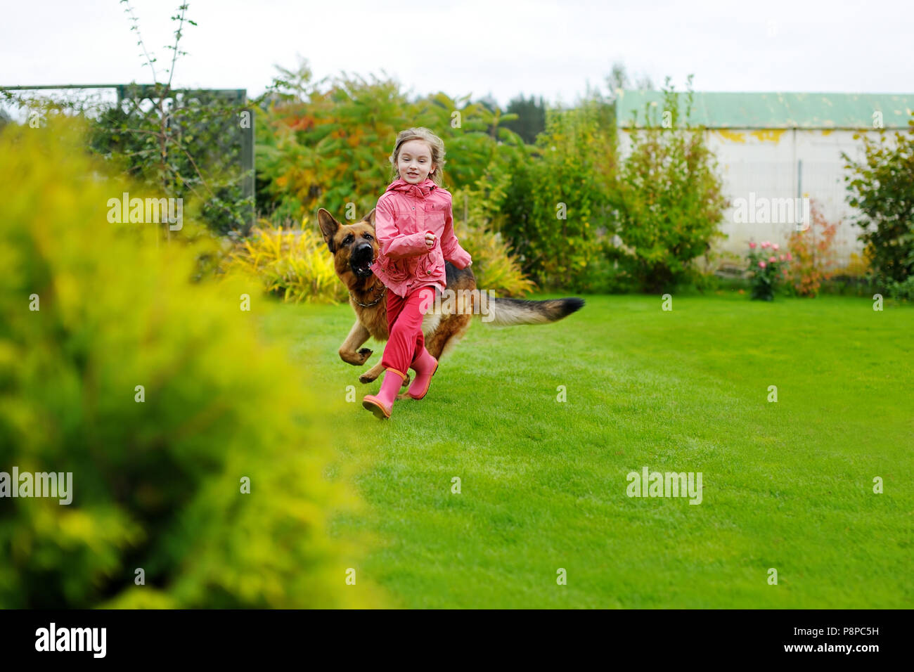 Happy little girl playing with a big dog in the garden Stock Photo - Alamy