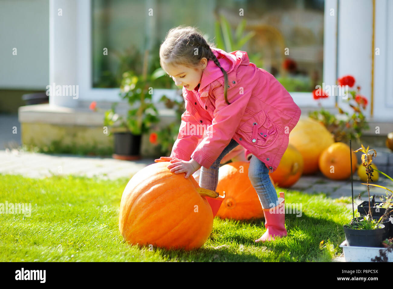 Cute little girl and a pumpkin in a pumpkin patch Stock Photo - Alamy