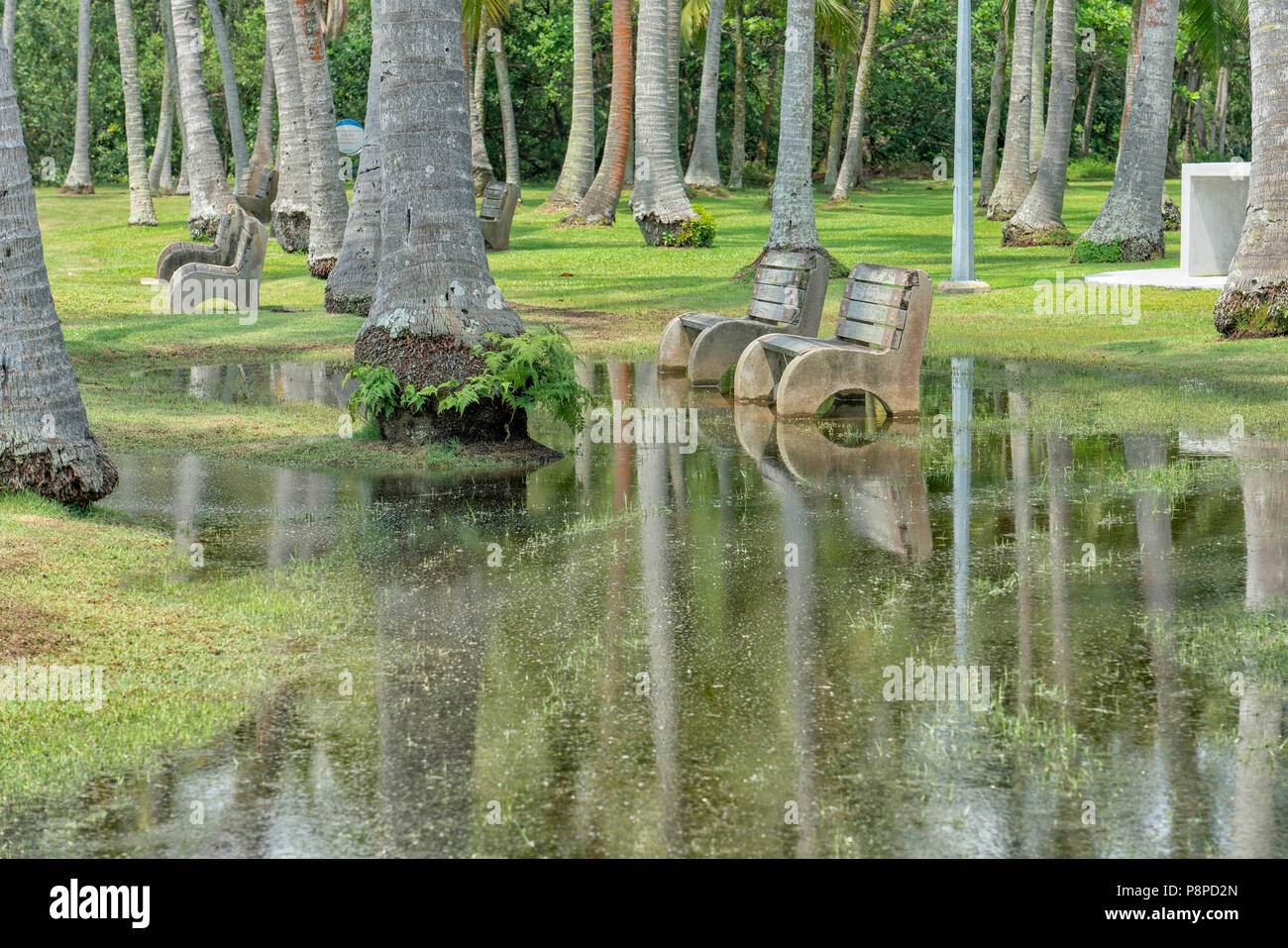 Singapore July 8 2018 Pasir Ris Park Flooded Area With Park Benches Pasir Ris Park Is A Beach Park Located In The Part Of Singapore That Opened Stock Photo Alamy [ 957 x 1300 Pixel ]