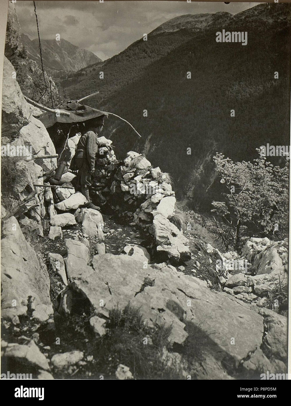 .   333 Horchposten. Aufgenommen am 27. Juli 1916. (BildID 15478752) Stock Photo