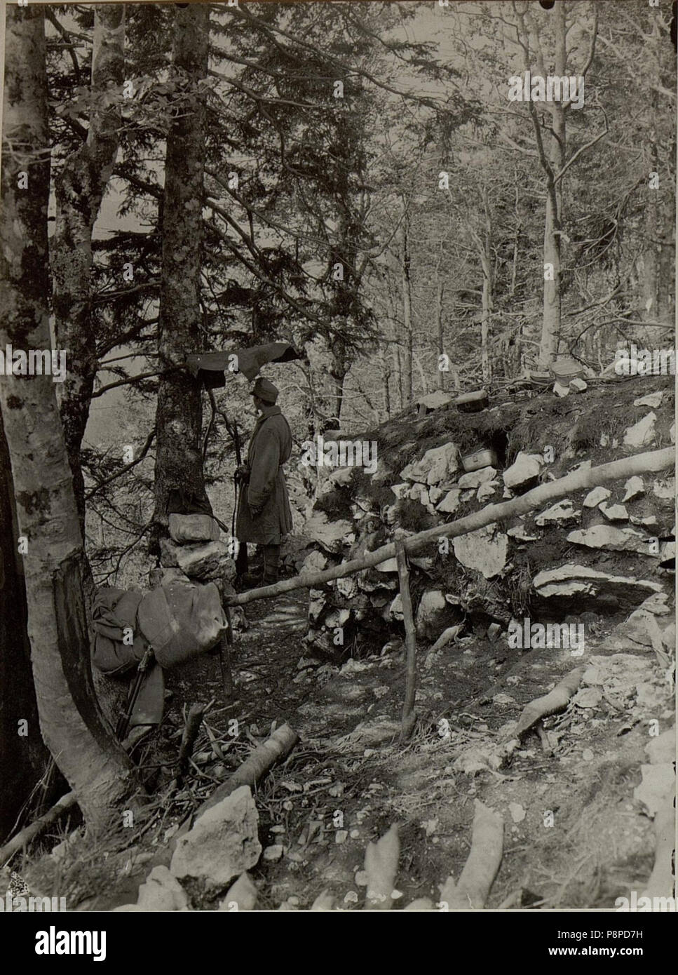 .   538 Stellung am JAVORCEK, Osthang. Aufgenommen am 27. Juli 1916. (BildID 15478745) Stock Photo