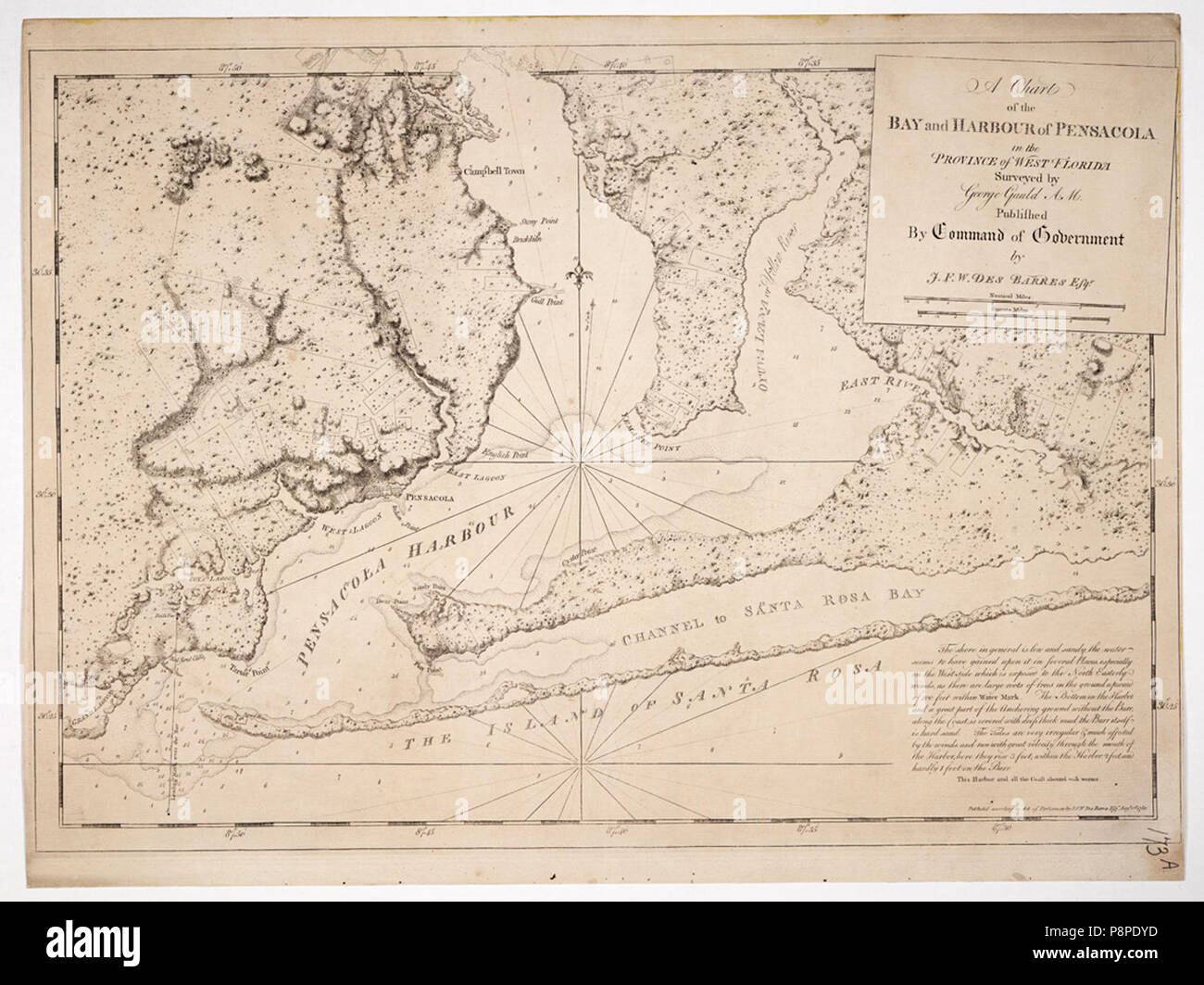Horse chart vintage hi-res stock photography and images - Alamy