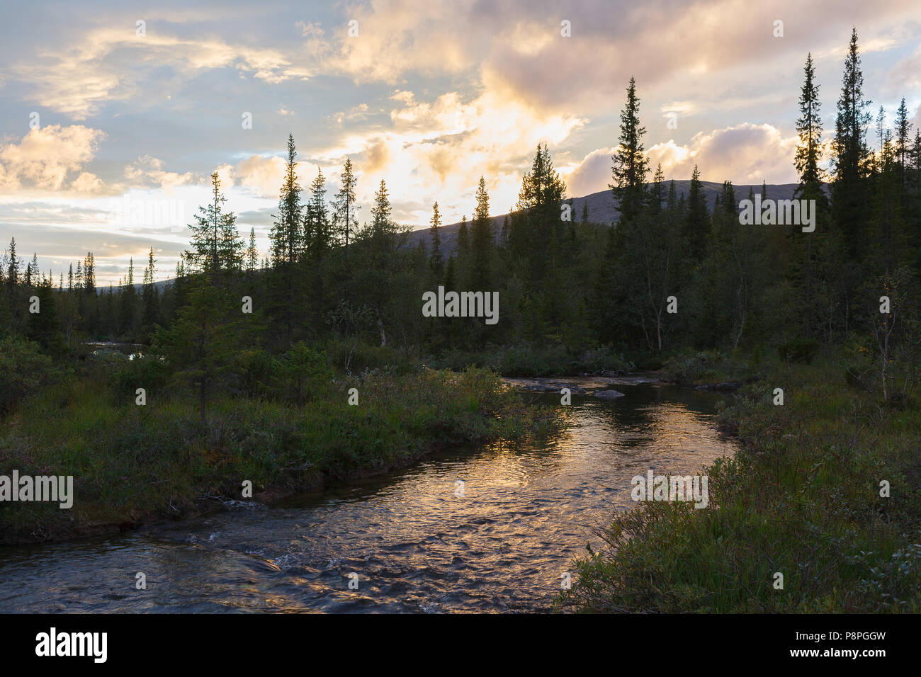 River in mountain valley hi-res stock photography and images - Alamy
