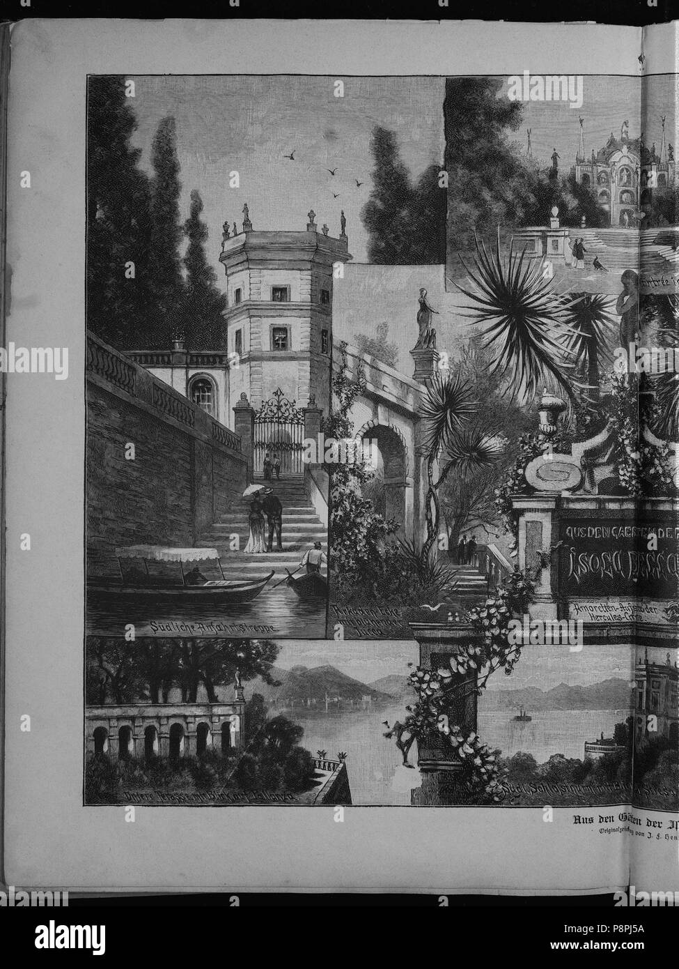 .   217 Die Gartenlaube (1885) 308 Stock Photo