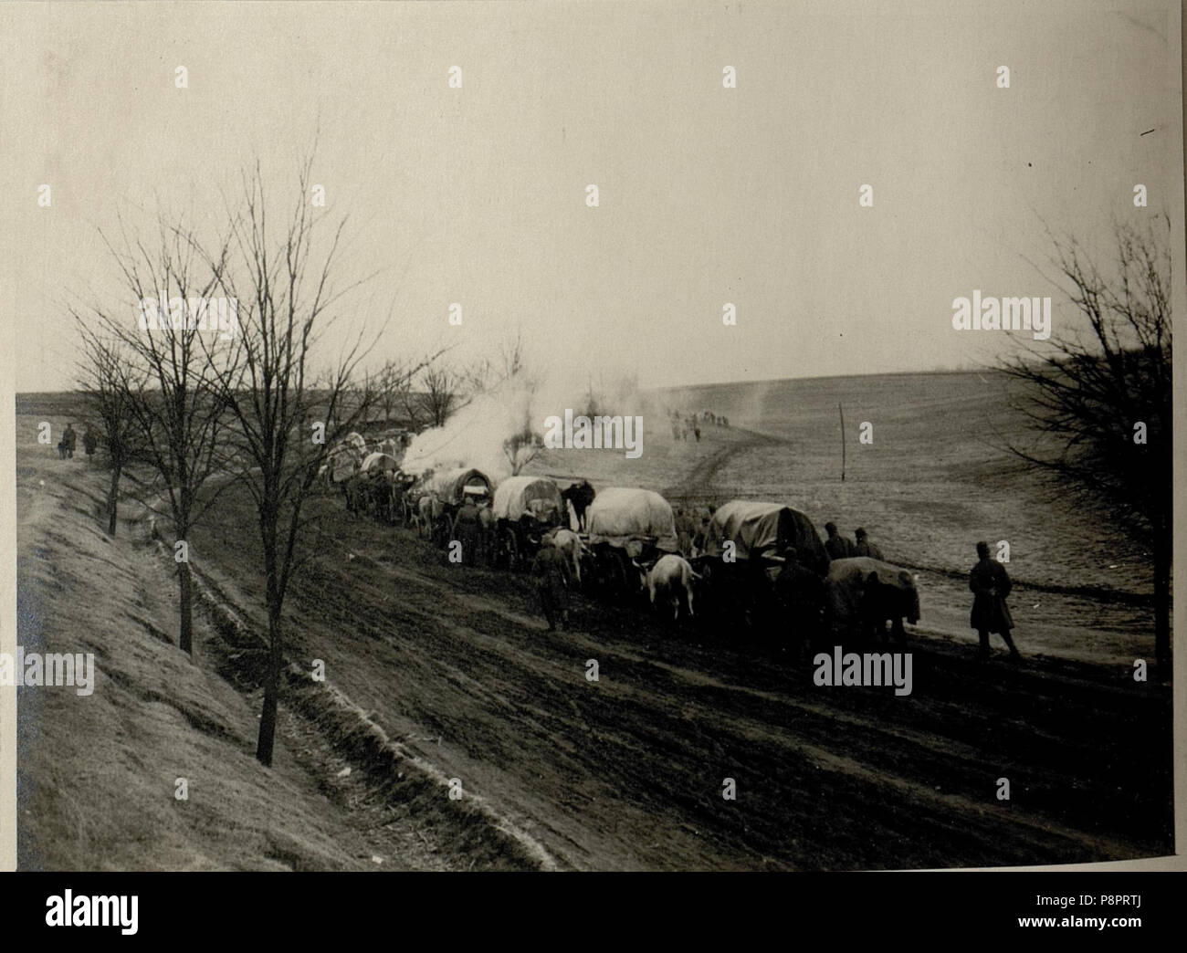 .   115 Die Batterie auf dem Marsche nach Bukarest, aufgenommen am 14.12.1916 (BildID 15544874) Stock Photo