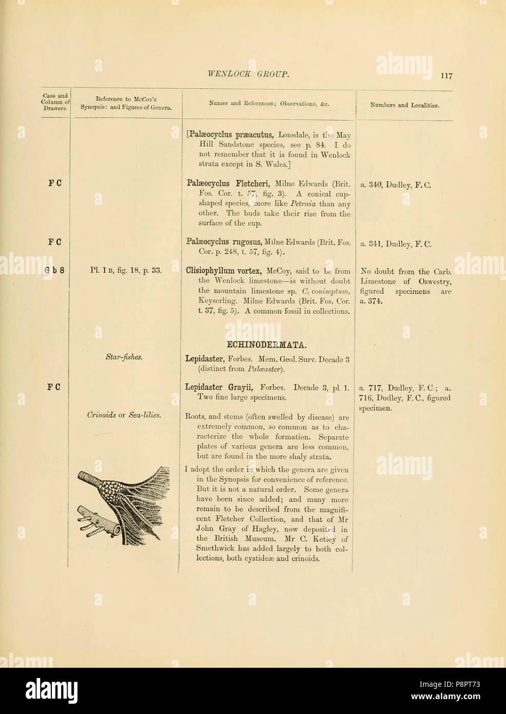 A catalogue of the collection of Cambrian and Silurian fossils contained in the Geological Museum of the University of Cambridge (Page 117) Stock Photo